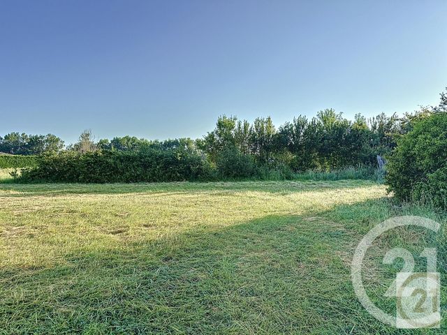 terrain à vendre - 1371.0 m2 - CASTELNAUDARY - 11 - LANGUEDOC-ROUSSILLON - Century 21 L'Agence Occitane