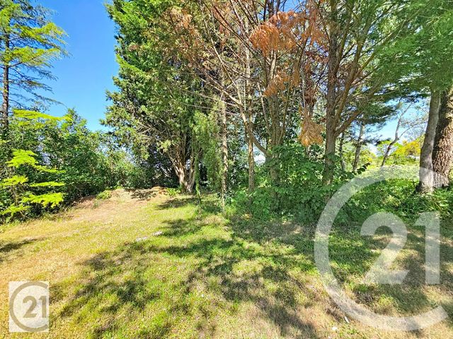 maison à vendre - 6 pièces - 236.0 m2 - AVIGNONET LAURAGAIS - 31 - MIDI-PYRENEES - Century 21 L'Agence Occitane