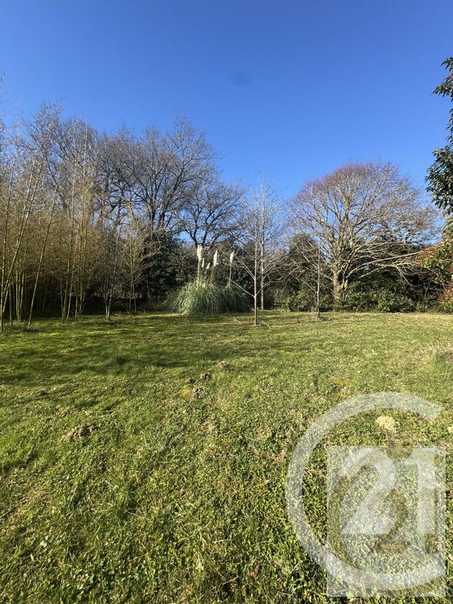 Afficher la photo en grand maison à vendre - 14 pièces - 329.0 m2 - AVIGNONET LAURAGAIS - 31 - MIDI-PYRENEES - Century 21 L'Agence Occitane