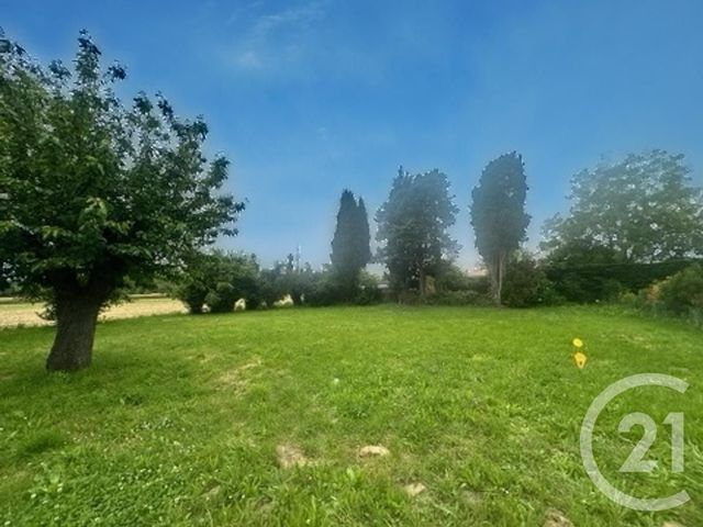 terrain - BAZIEGE - 31