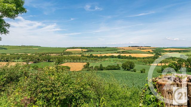 Afficher la photo en grand maison à vendre - 13 pièces - 355.3 m2 - BEAUTEVILLE - 31 - MIDI-PYRENEES - Century 21 L'Agence Occitane