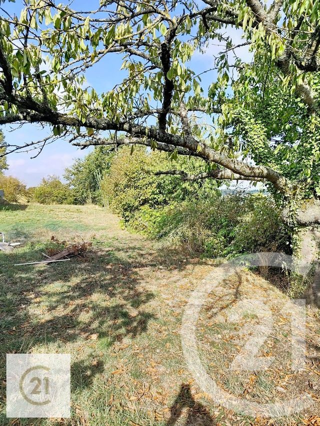 terrain à vendre - 1200.0 m2 - NAILLOUX - 31 - MIDI-PYRENEES - Century 21 L'Agence Occitane